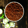 Bitter Gourd Chutney Powder | Authentic South Indian Chutney Powder | 250g | The Flavor Bag The Flavor Bag